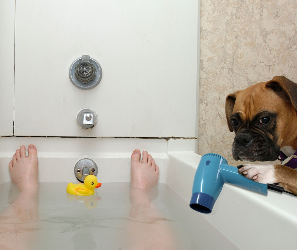 Design Photoshop par godzillatemple pour DesignCrowd (Community Contests) | Design #9064243