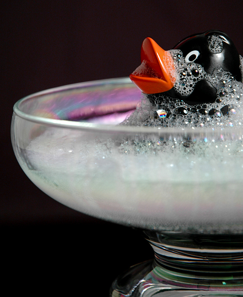 Photography by koalachimbo for DesignCrowd (Community Contests) | Design #9059591