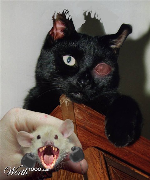 Photoshop Design by sloanyo