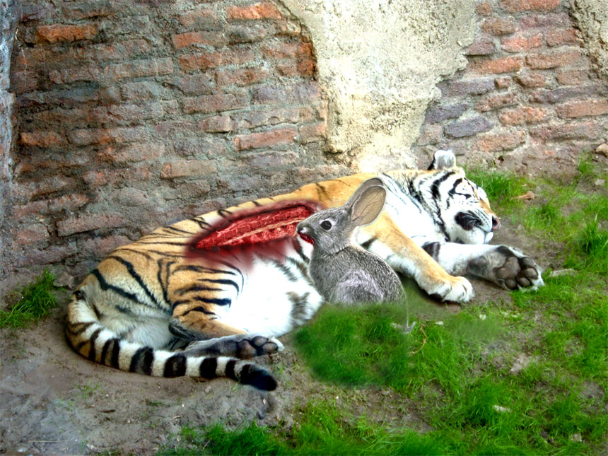 Diseño de Photoshop por toygar para DesignCrowd (Community Contests) | Diseño #9064250