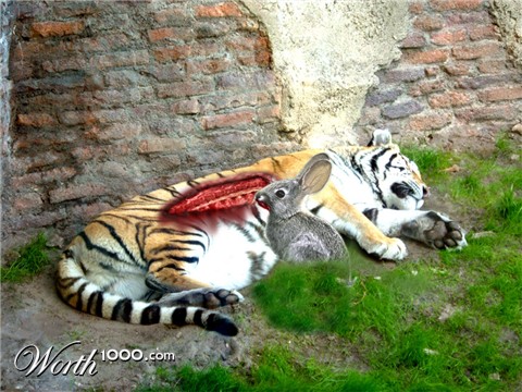 Photoshop Design by toygar