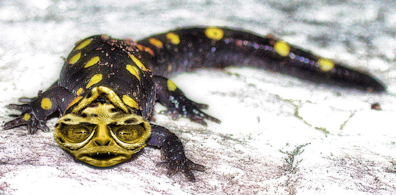 Photoshop Design by bif248 for DesignCrowd (Community Contests) | Design #9064272