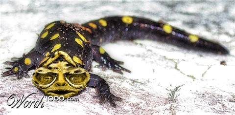 Photoshop Design by bif248