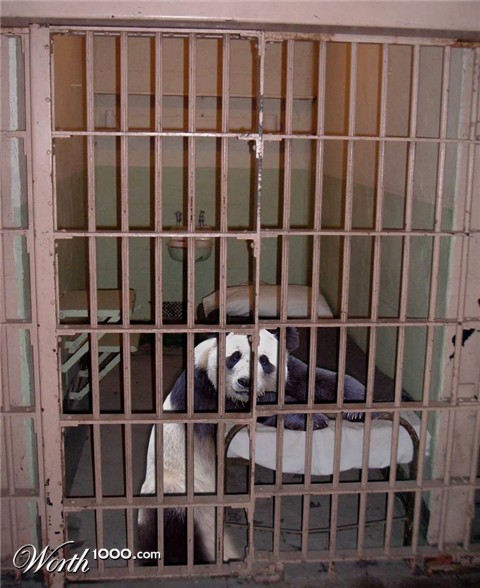 Photoshop Design by StrangeWorld