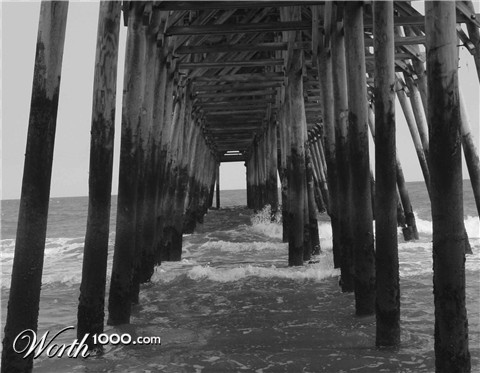 Photography by soulinferno13