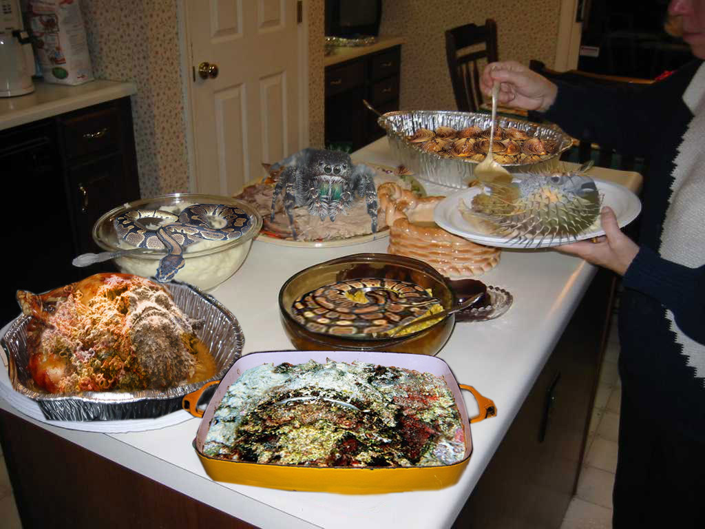 Photoshop Design by EyEars for DesignCrowd (Community Contests) | Design #9075761