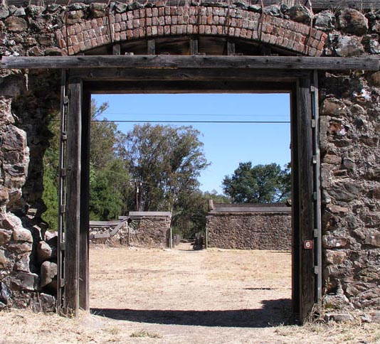 Fotografie von BearQT für DesignCrowd (Community Contests) | Design #9074599