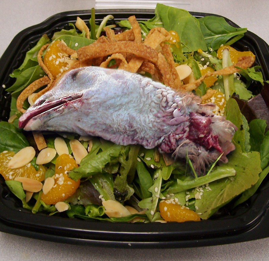 Diseño de Photoshop por Pitinhas para DesignCrowd (Community Contests) | Diseño #9075778