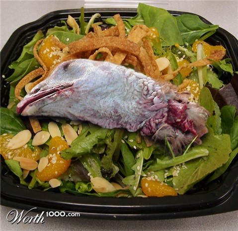 Photoshop Design by Pitinhas