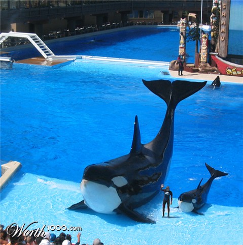 Photoshop Design by echoburst