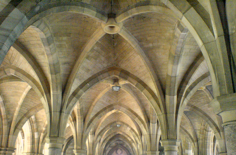 Photographie par StevieM pour DesignCrowd (Community Contests) | Design #9064859