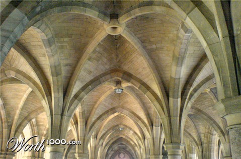 Photography by StevieM