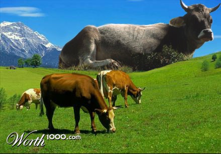 Photoshop Design by purplemosh