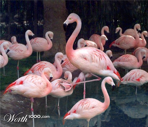 Photoshop Design by sabrnig