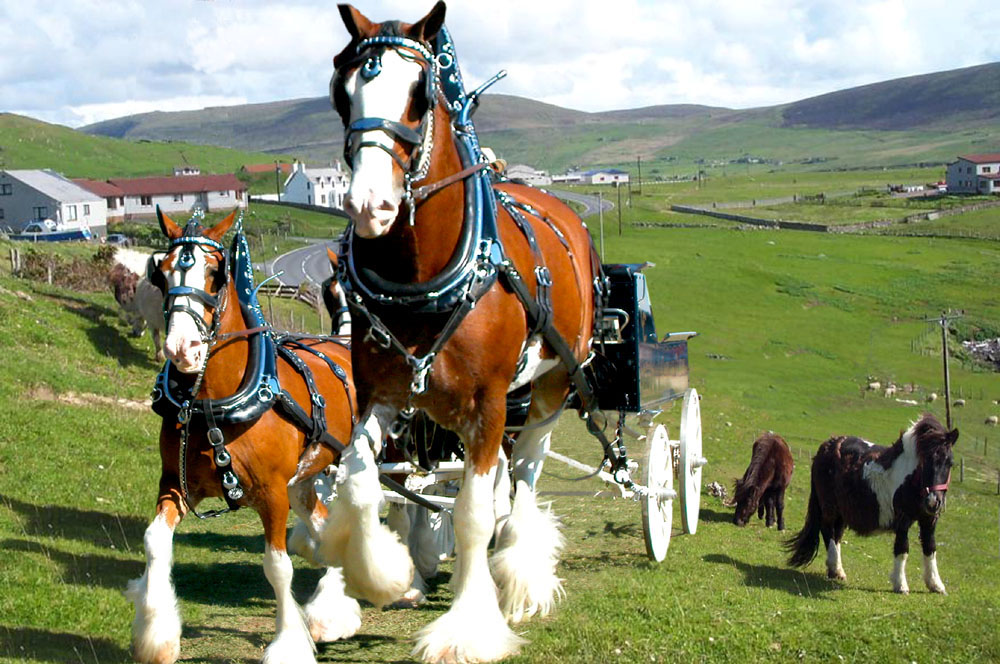 Diseño de Photoshop por EyEars para DesignCrowd (Community Contests) | Diseño #9063788