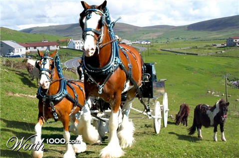 Photoshop Design by EyEars