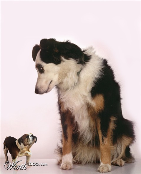 Photoshop Design by Jaffar1900