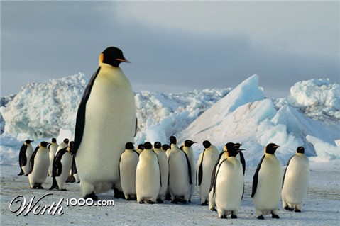 Photoshop Design by Fedorov