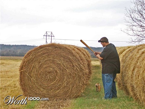 Photography by almostperfect