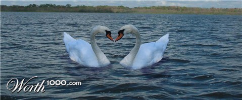 Photoshop Design by pixelpunk