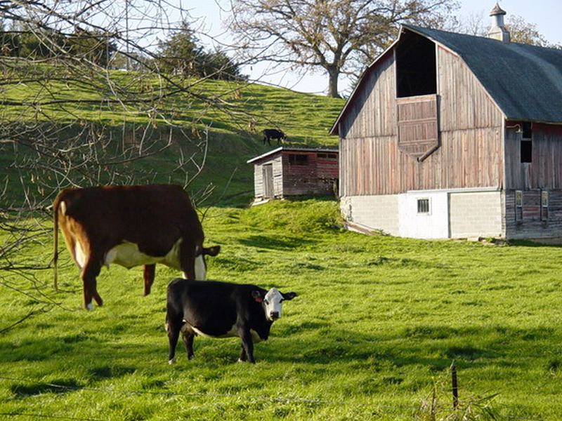 Photoshop Design by 2manyusernames for DesignCrowd (Community Contests) | Design #9063966