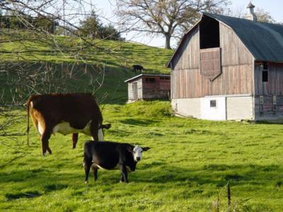 Photoshop Design by 2manyusernames