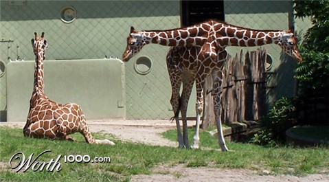 Photoshop Design by MarindH