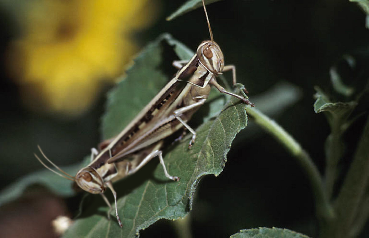 Diseño de Photoshop por spiraleye para DesignCrowd (Community Contests) | Diseño #9062976