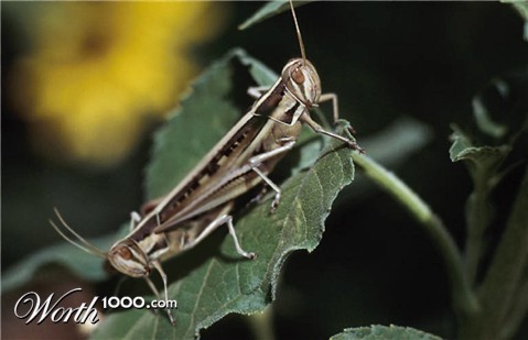 Photoshop Design by spiraleye