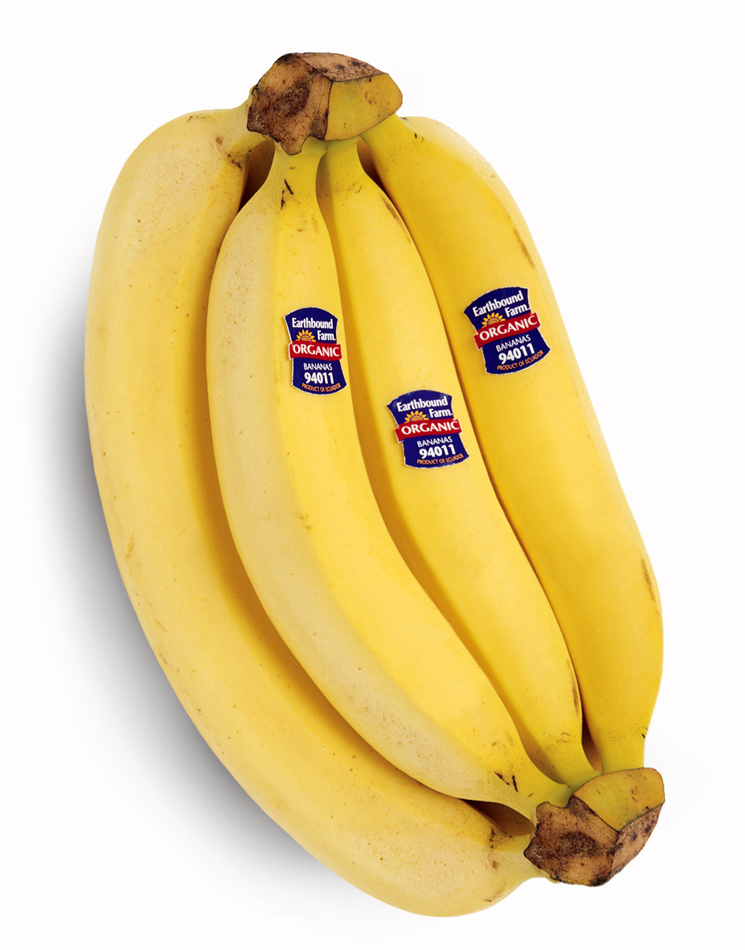 Diseño de Photoshop por flaebehop para DesignCrowd (Community Contests) | Diseño #9063136