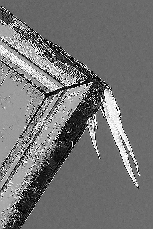 Photography by Kirsilouis for DesignCrowd (Community Contests) | Design #9063739