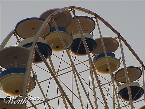 Photography by tweetybirdfan222