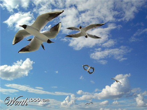 Photoshop Design by Spaans05