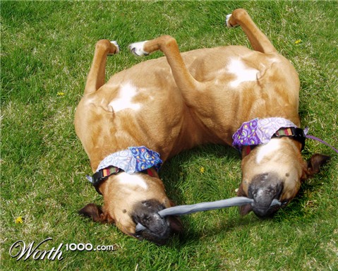 Photoshop Design by Partyshot