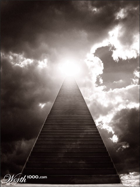 Photography by Budmulla