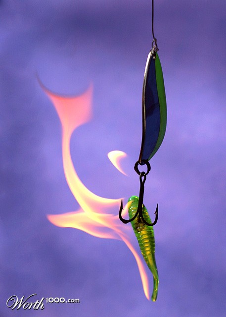 Photography by dsa157