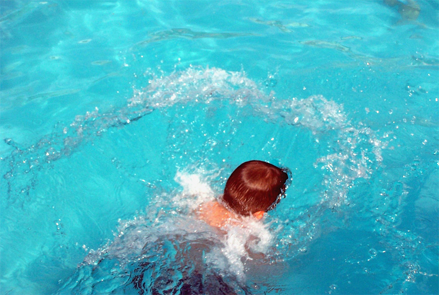 Photography by Julz1996 for DesignCrowd (Community Contests) | Design #9063768