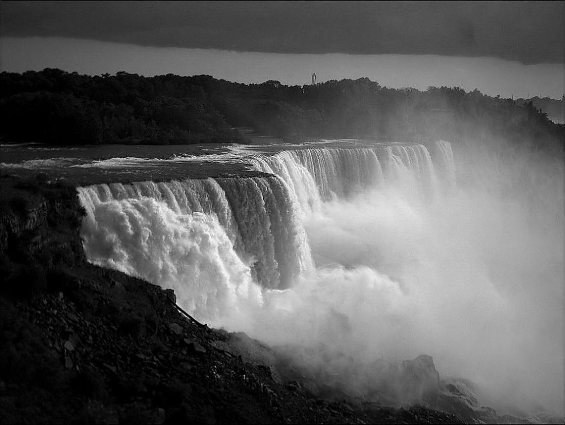 Photography by Isabella2006 for DesignCrowd (Community Contests) | Design #9063822