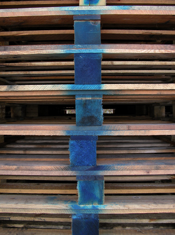 Photography by GinniFlanders for DesignCrowd (Community Contests) | Design #9064922