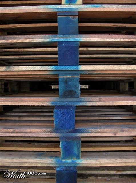 Photography by GinniFlanders