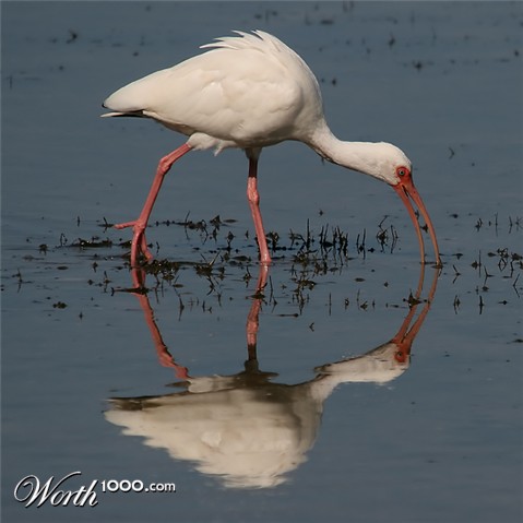 Photography by klemmg