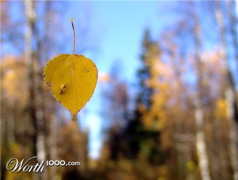 Photography by whlutz