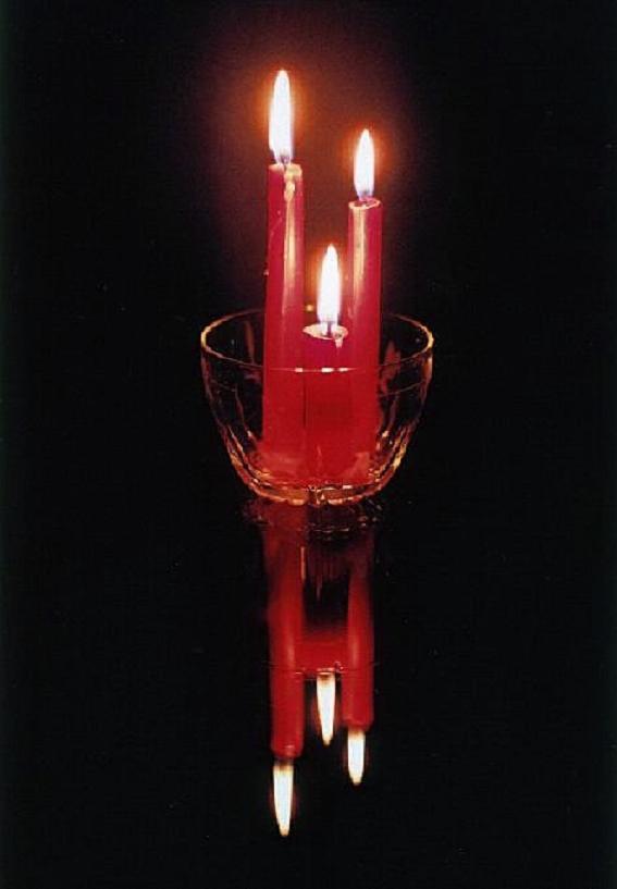 Photography by Isabella2006 for DesignCrowd (Community Contests) | Design #9063636