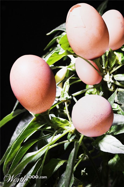 Photography by devilgas