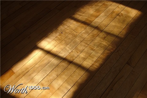 Photography by mennufer