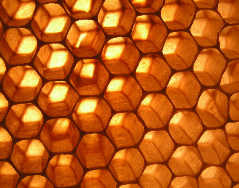 Fotografie von mzmzmzmz für DesignCrowd (Community Contests) | Design #9064933