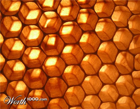 Photography by mzmzmzmz