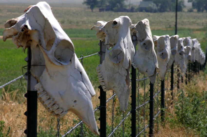 Photography by rdchdwck for DesignCrowd (Community Contests) | Design #9064929