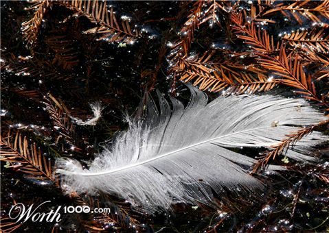 Photography by mare53