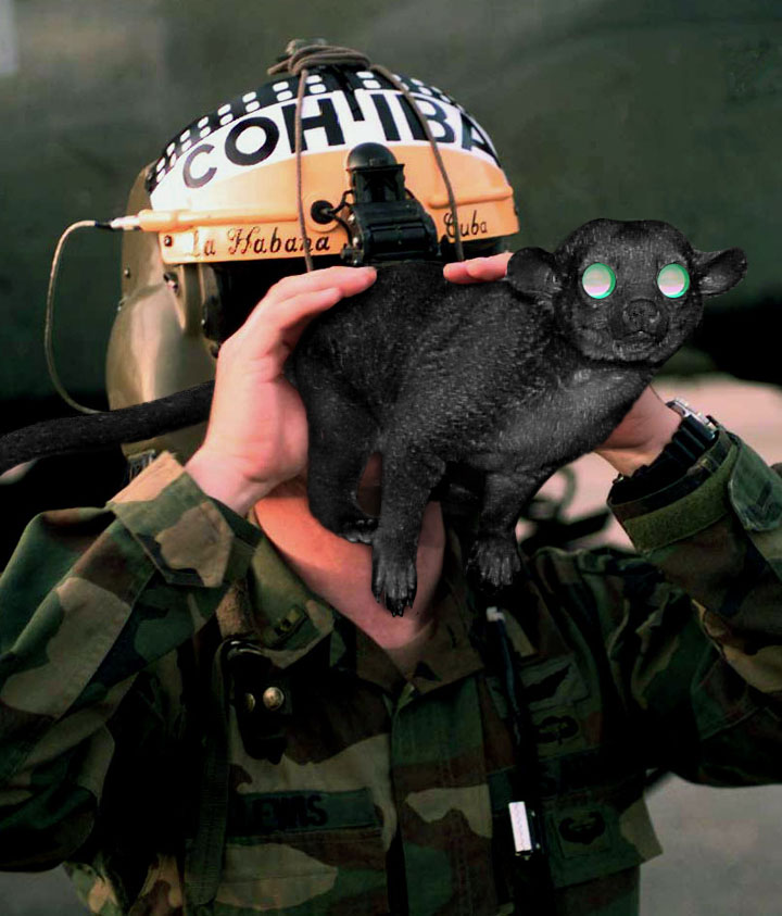 Photoshop Design by MrSlausen for DesignCrowd (Community Contests) | Design #9065576